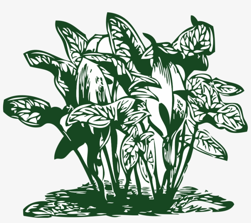 How To Set Use Tropical Plants Clipart, transparent png