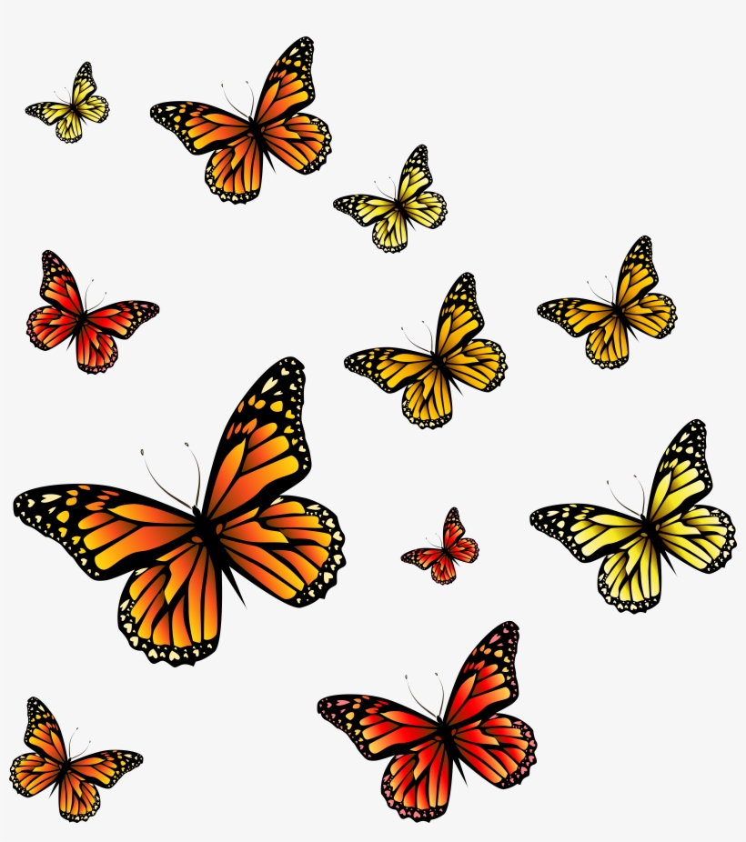 Butterflies Png, transparent png