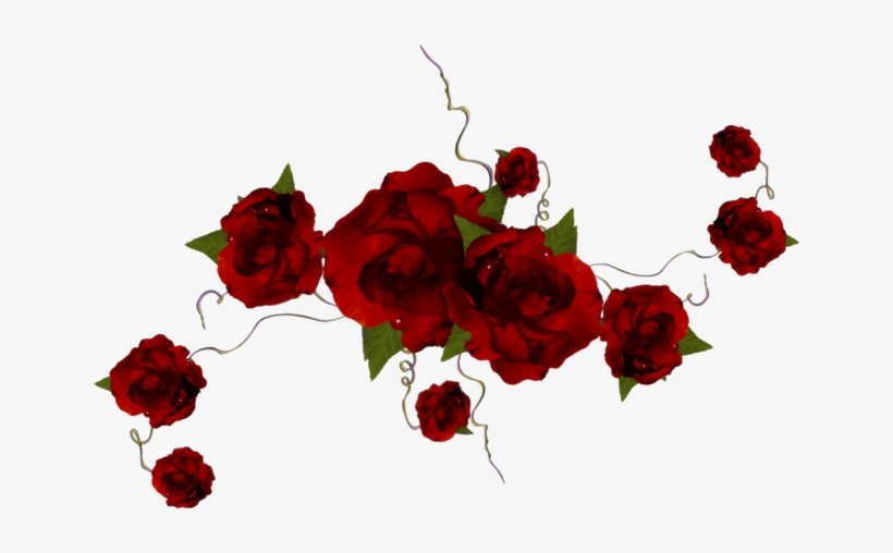 63 - Garden Roses, transparent png