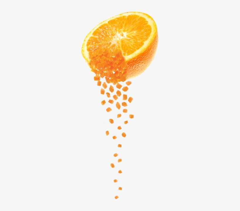 Fruit Group By Megan Borgert-spaniol, transparent png