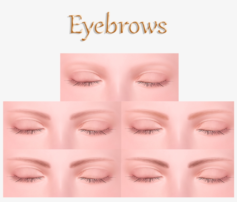 Eyebrow Png Download - Eye Shadow, transparent png