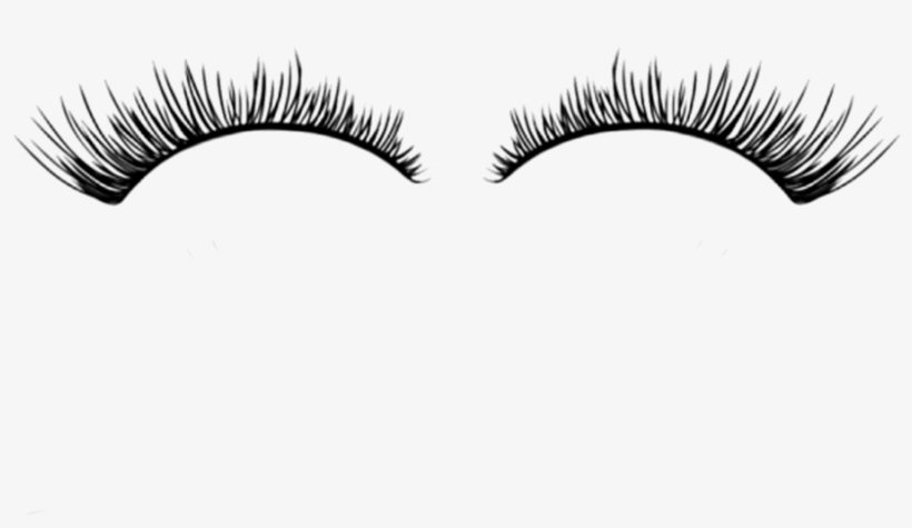 Png Black And White Library Png Eyelash - Eyelash Extensions Fun Facts, transparent png