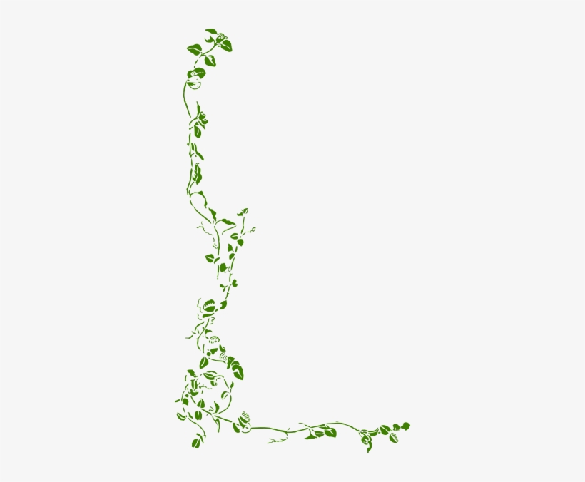 How To Set Use Green Ivy Clipart, transparent png
