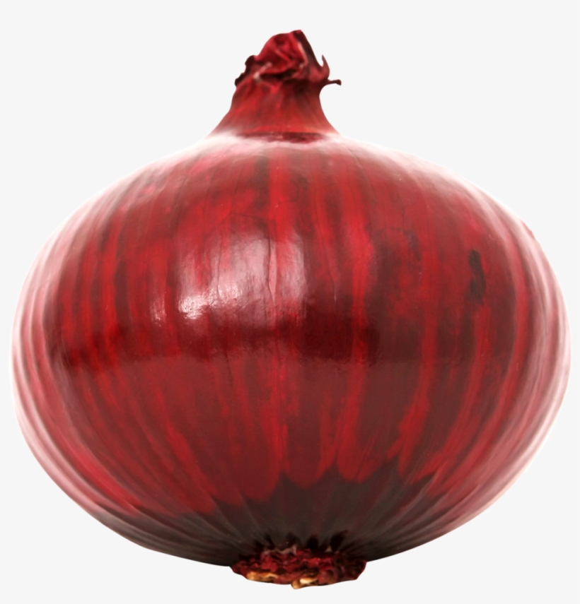 Download Red Onion Png Image - Red Onion Transparent Background, transparent png