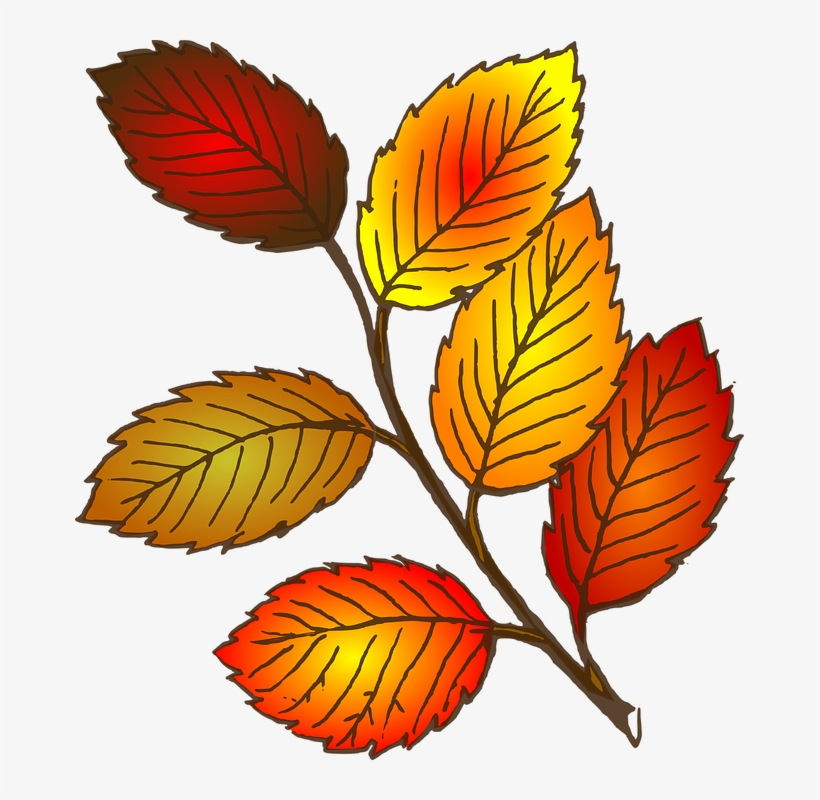 Fall Leaf Clipart - Leaves Clipart, transparent png