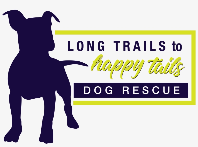 Longtrailshappytails - Com - Dog Catches Something, transparent png