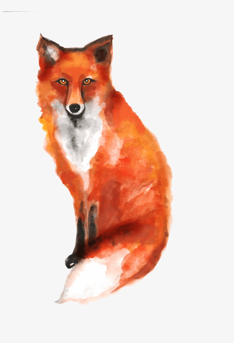 Red Fox, transparent png
