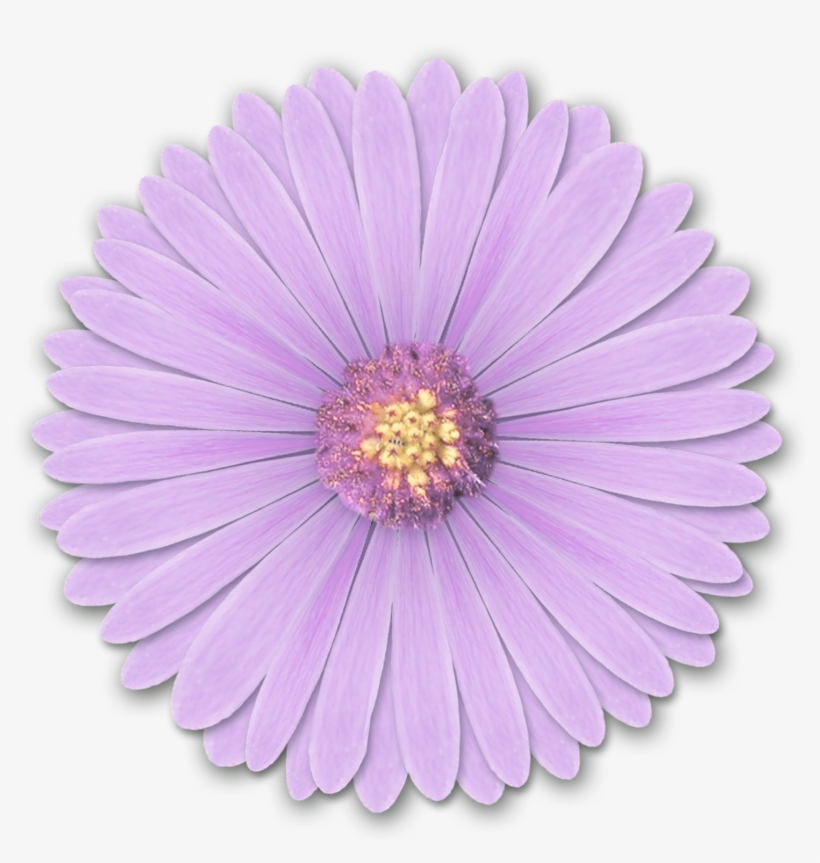 Res Light Purple - Light Purple Flower Png, transparent png
