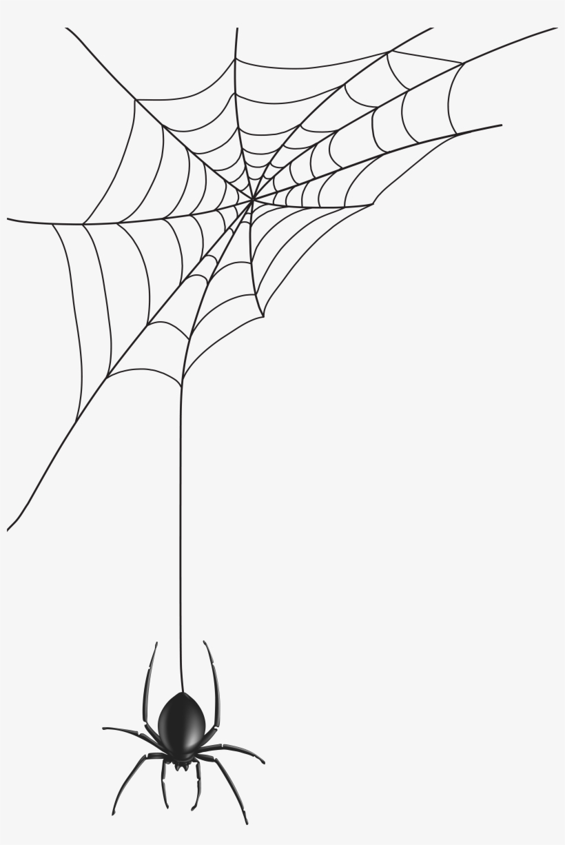 Free Spider Png Clip Art Image Gallery Yopriceville, transparent png