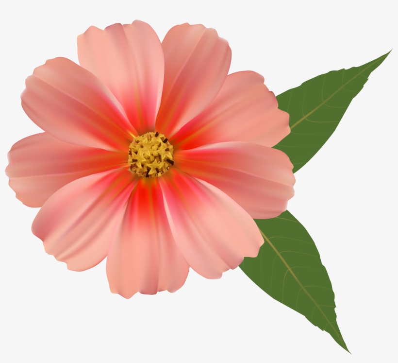 Png Flowers, transparent png