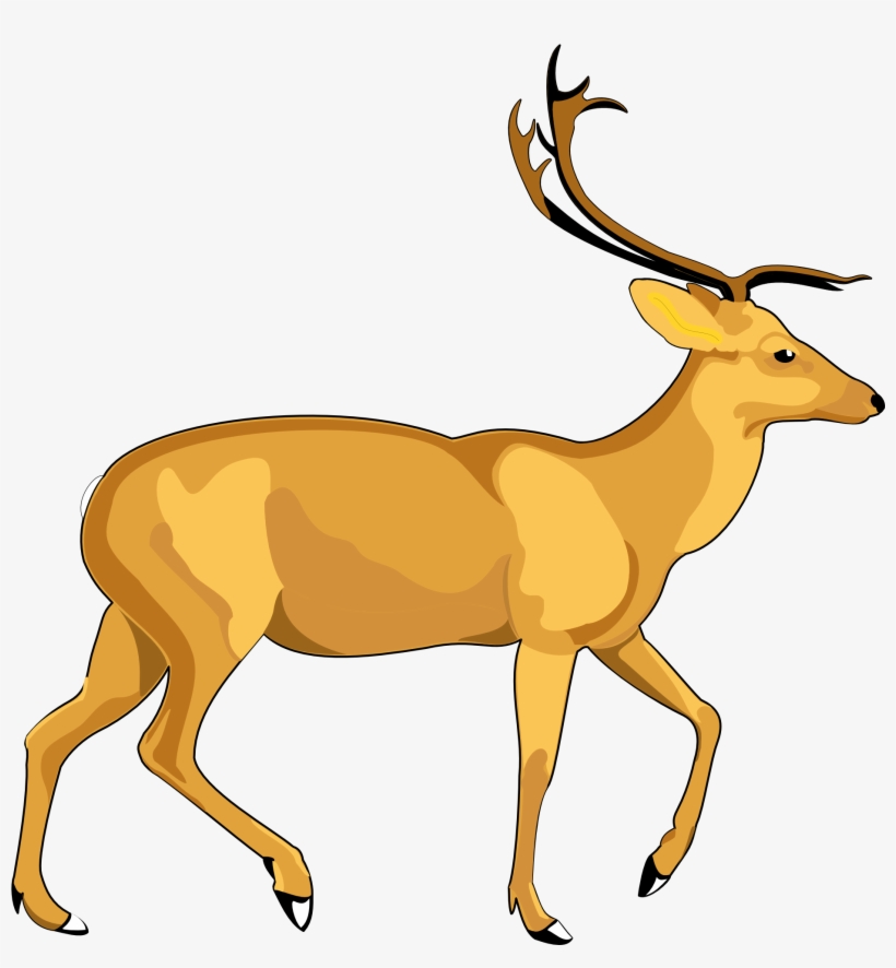 Deer Vector Png, transparent png