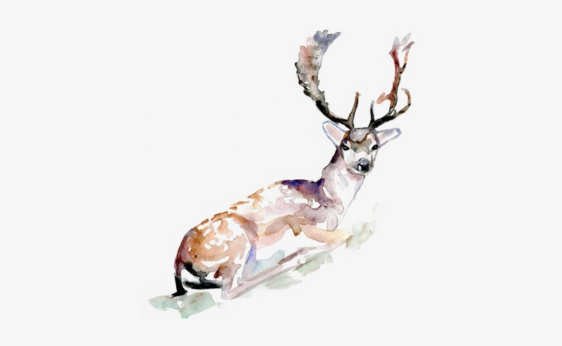 〈 雪冠。snowcrown - Transparent Deer, transparent png