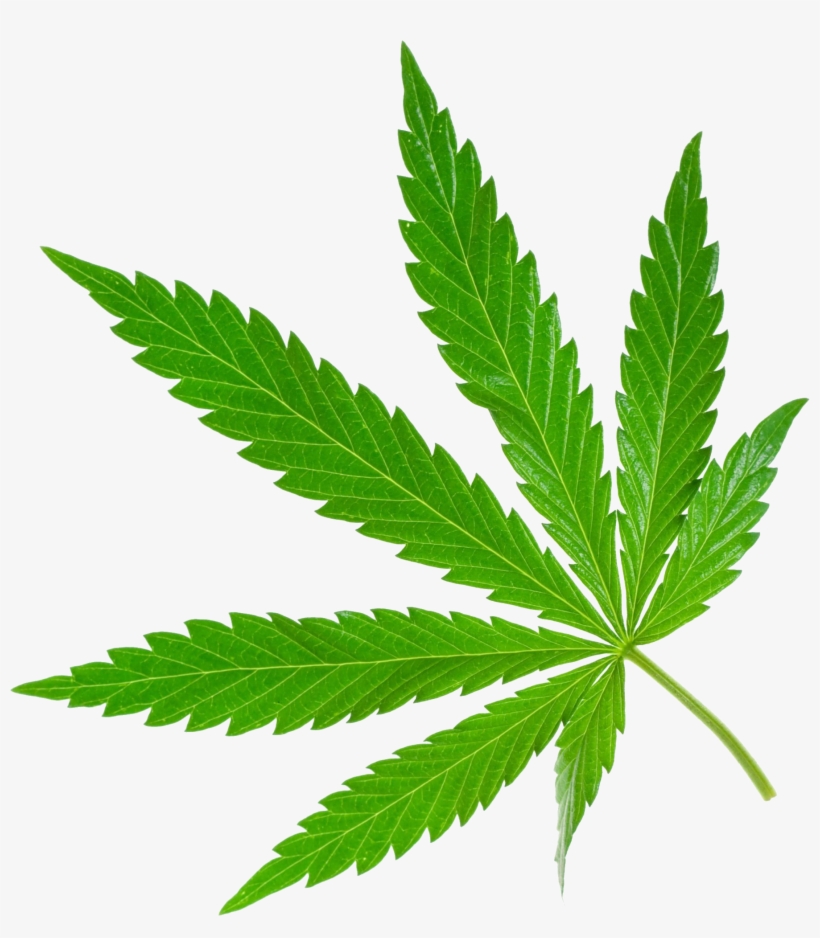 Cannabis Png, transparent png
