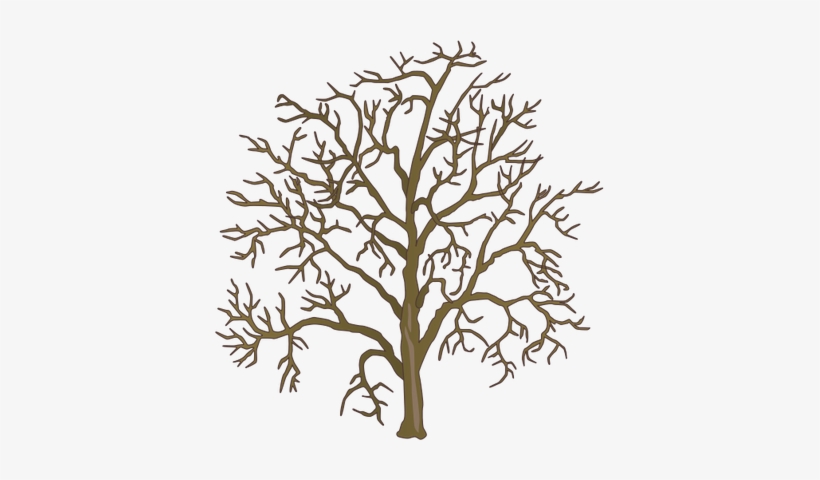 Ian Symbol Dead Tree 1 - Dead Tree Drawing, transparent png