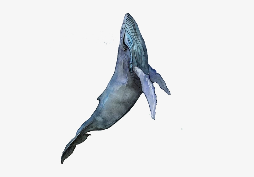 Visual Arts Watercolor Landscape Watercolor Painting - Whale Drawing, transparent png