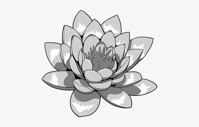Lotus Flower Tattoos - Lotus Flower Tattoo Flash, transparent png