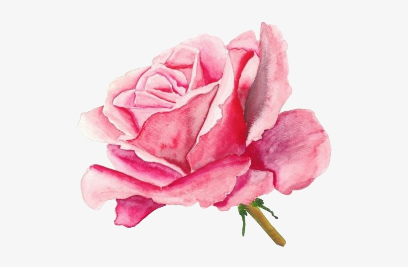 Http - //jaehos - Tumblr - Pack 29 Here I Am Once Again - Painting Of A Pink Rose, transparent png