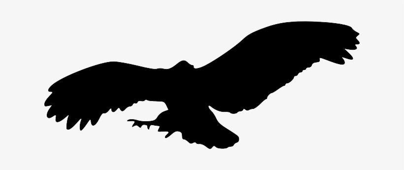 Bird Silhouette Eagle Png - Owl Flying Silhouette Png, transparent png
