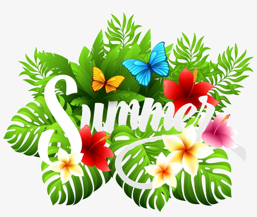 Hibiscus Clipart Vacation - Summer Png Clipart, transparent png