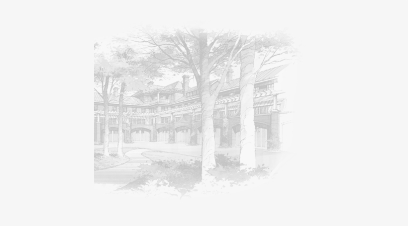 Tree, transparent png