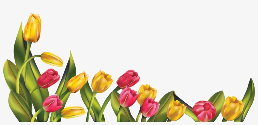 Border Jpg Transparent Library Huge Freebie - Tulip Png, transparent png