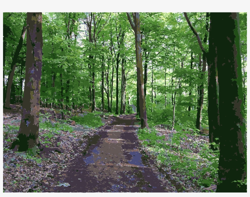 Lichtscheid Again Big Image Png - Forest Transparent, transparent png