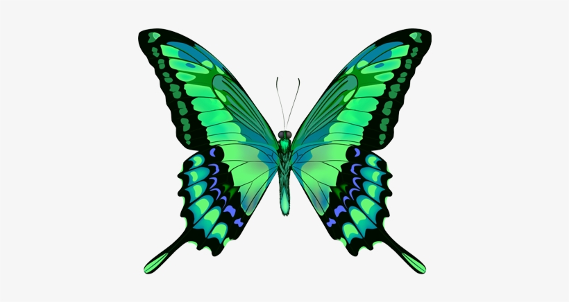Green Butterfly Png - Blue Butterfly, transparent png
