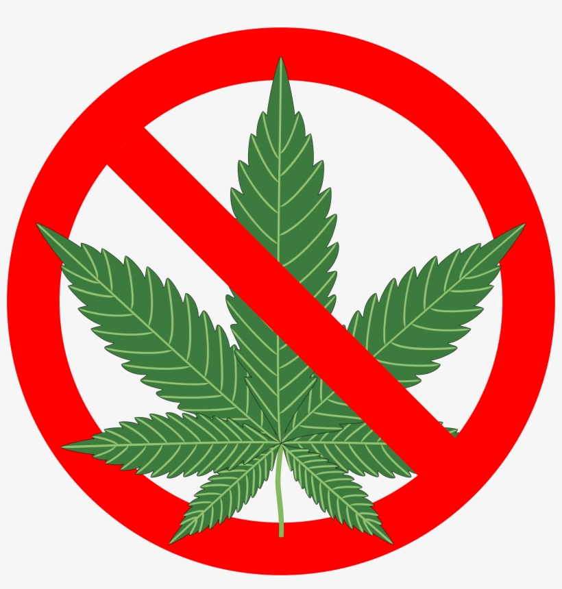 Motion To Dismiss Filed Challenging Patients' Rights - Reasons Not To Smoke Marijuana: The Complete, transparent png