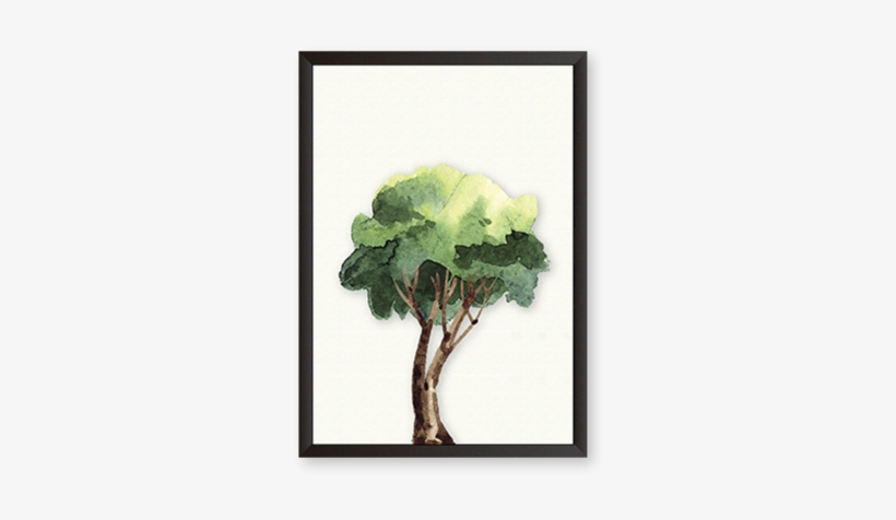 Tree, transparent png