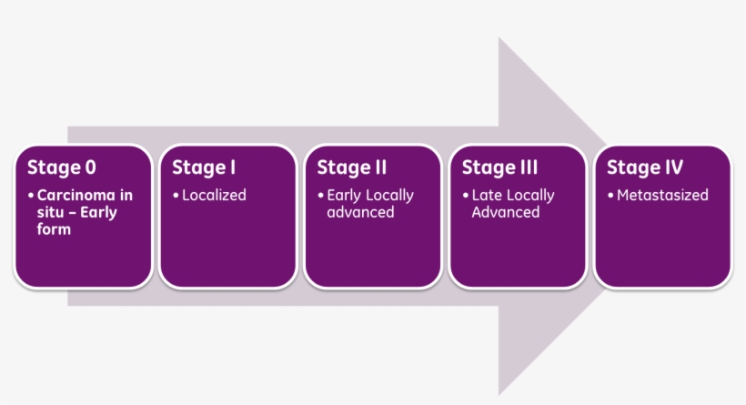 Cancer Stages - Graphic Design, transparent png