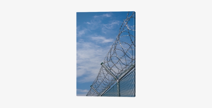 Security Fence With Barbed Wire Canvas Print • Pixers® - Barbed Wire, transparent png