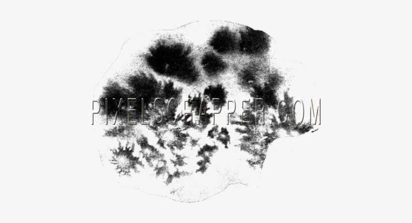 Watercolor Brush - Watercolor Painting, transparent png