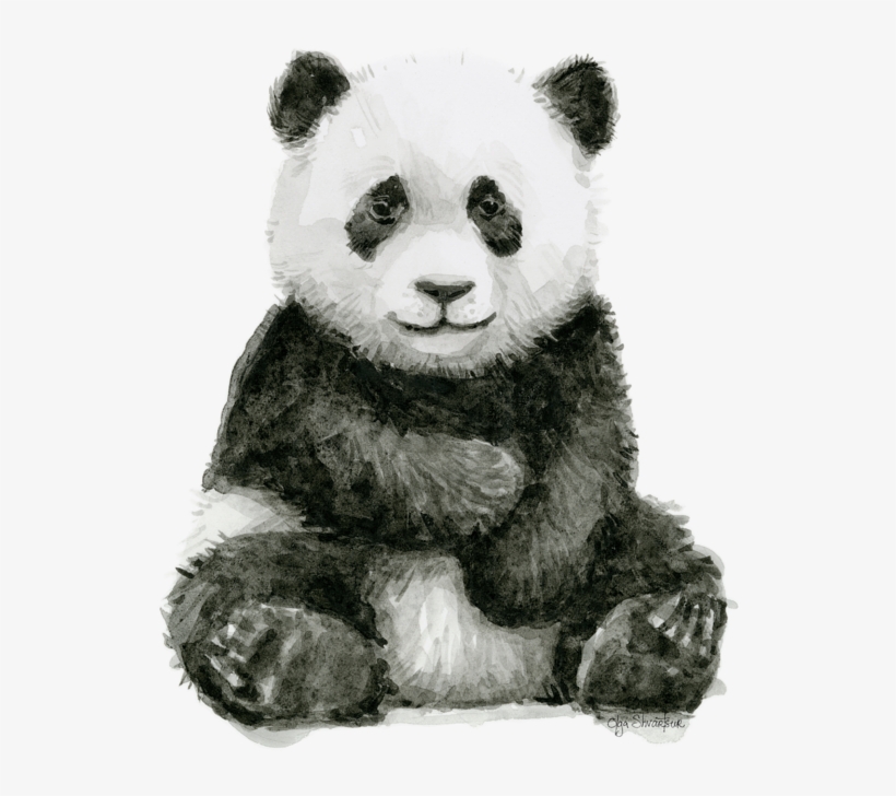 Click And Drag To Re-position The Image, If Desired - Panda Watercolor, transparent png