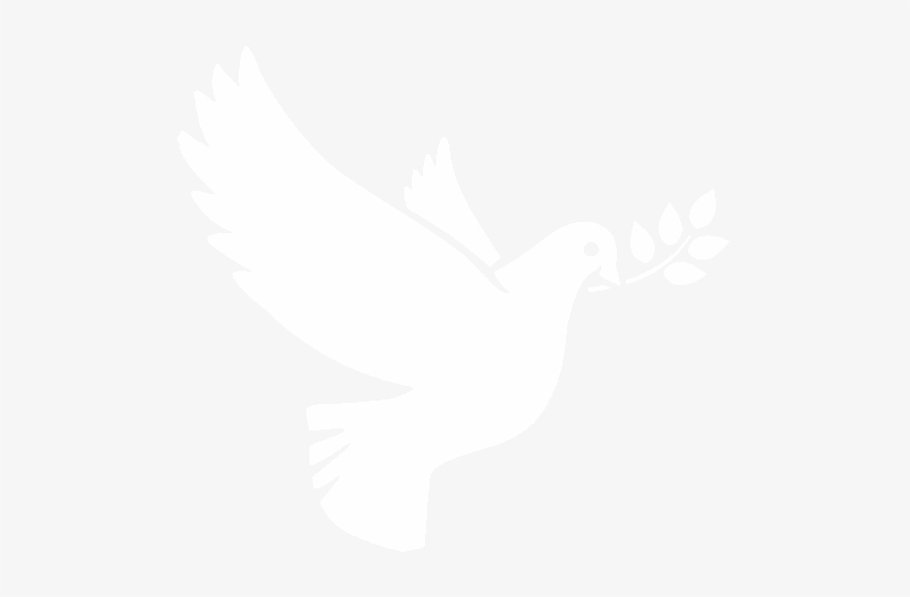 Estate And Succession Planning - White Dove Png Icon, transparent png