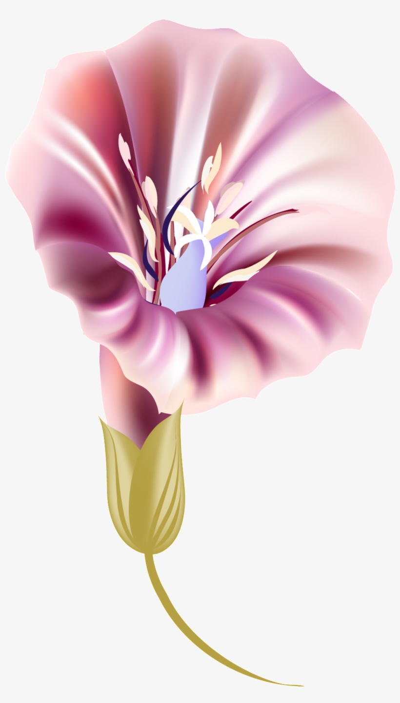 Purple Trumpet Transparent Decorative - Purple, transparent png