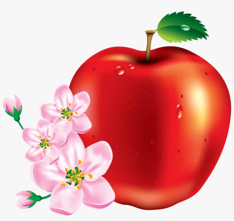 Red Apple Png Vectors - Apple Images Download, transparent png