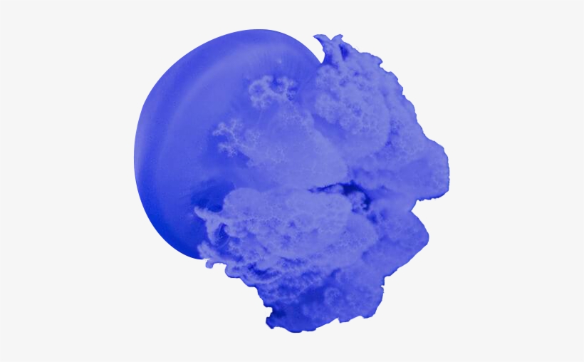 Jellyfish Under Water - Water, transparent png