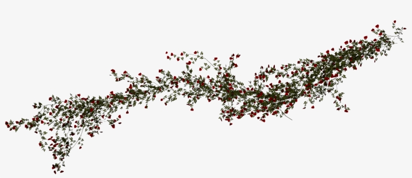Rose Vines Png - Rose And Vine Png, transparent png