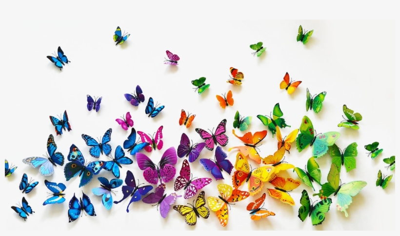 Butterflies Png Background Image - Transparent Background Butterflies Png, transparent png