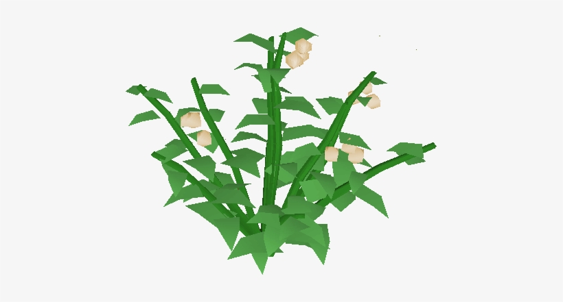 Poison Ivy Berry Bush - Lily Plant Png, transparent png