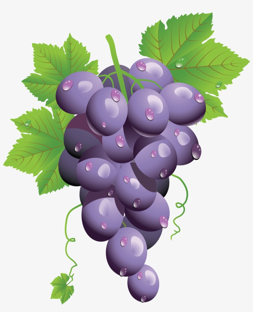 Png Grapes, transparent png