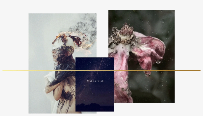 A Fable About Death - Floral Design, transparent png