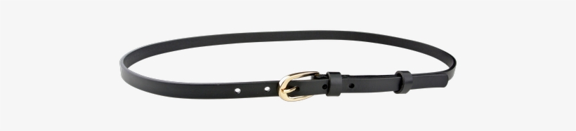 Belt, transparent png