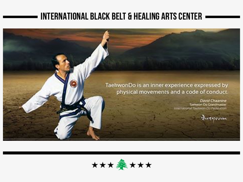 Homepage Image 7 - Tang Soo Do, transparent png