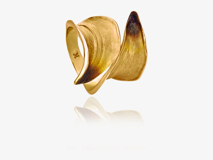 Ring, transparent png