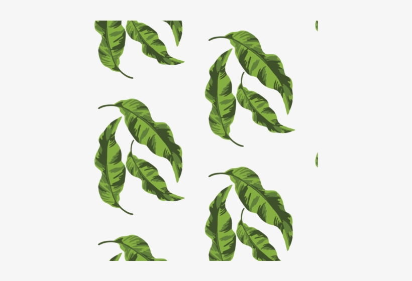 Banana Leaves Wallpaper - Banana Leaves, transparent png
