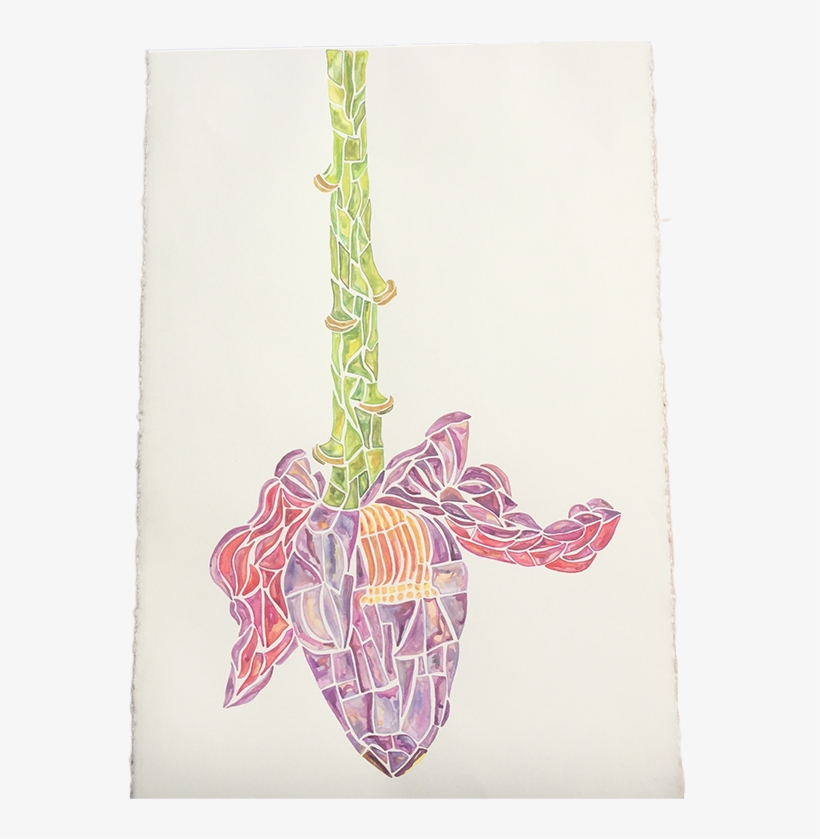Watercolor Pencil Gouache On Paper, transparent png
