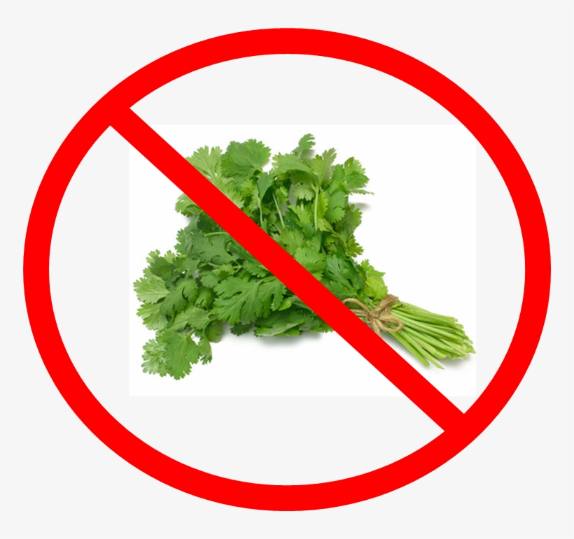 Say No To Cilantro - Coriander (cilantro) Slo-bolting Herb Seed, transparent png