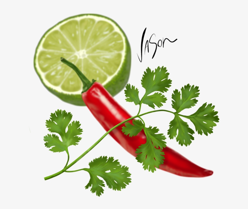 Sometimes Referred To As 'chinese Parsley' Or 'cilantro' Leaves Png Coriander Leaf 640x640