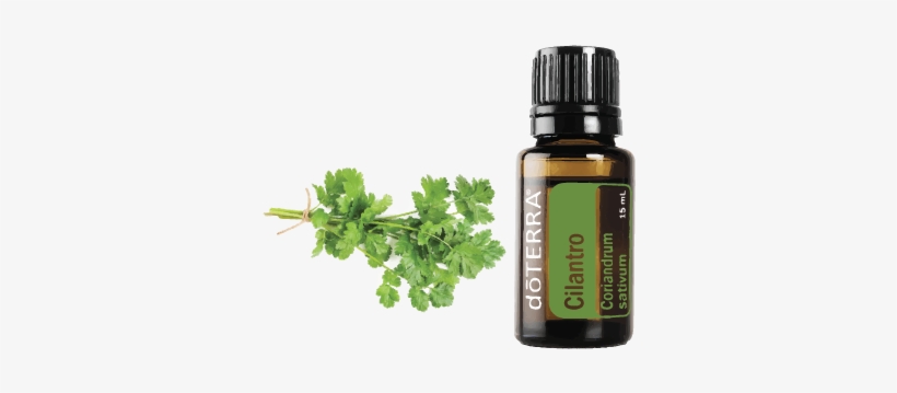 Doterra Tea Tree Uses, transparent png